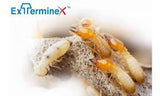 Exterminex Termite Bait - Chlorfluazuron