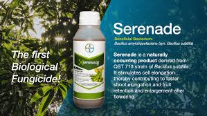 serenade herbicide Serenade Bio Organic Fungicide