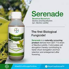 serenade herbicide Serenade Bio Organic Fungicide