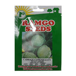 Ramgo Seeds | Cabbage Copenhagen - 1g
