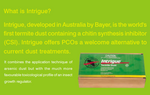 Bayer Intrigue Termite Dust | Triflumuron - 1 kilo