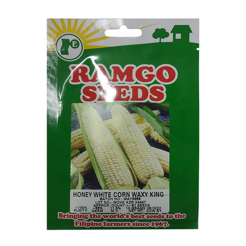 Ramgo Seeds | Honey White Corn Waxy King
